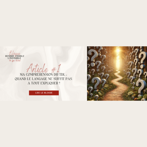Ma compréhension du TDL 