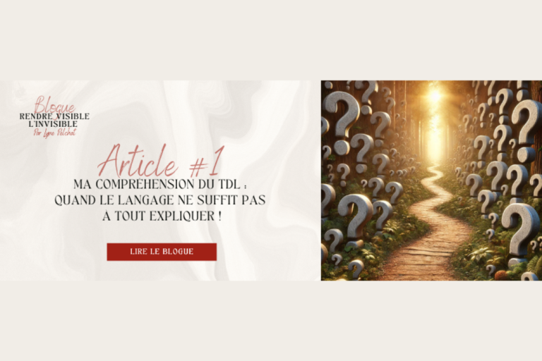 Ma compréhension du TDL 