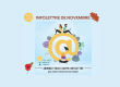 infolettre site web novembre 2024